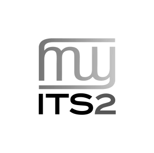 Logotipo negro ITS2