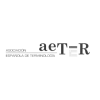 Nosotros Logotipo gris AETER