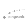 Nosotros Logotipo gris Pangeanic