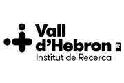 Linguistic Solutions Vhir logo