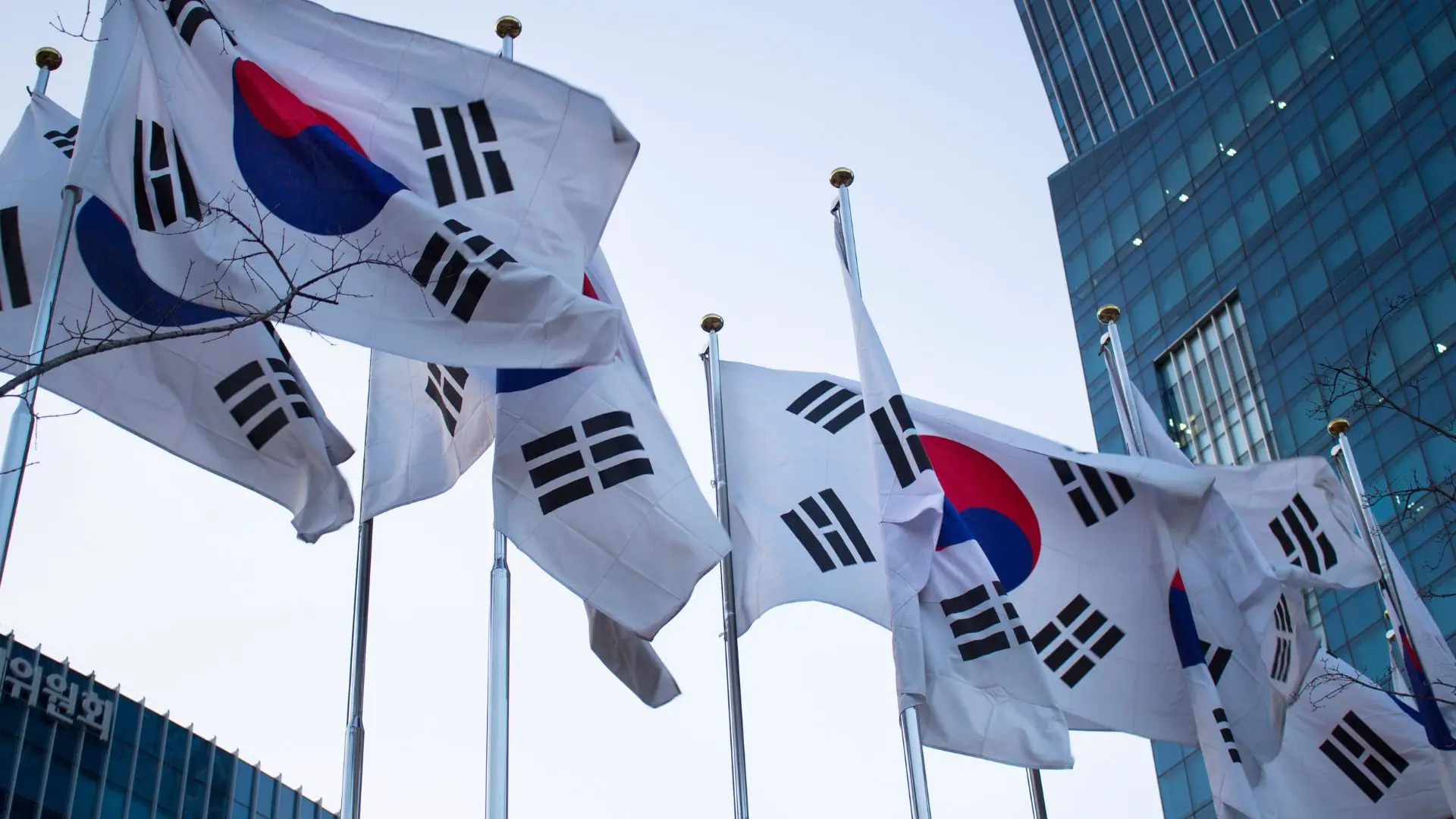 Banderas de Corea del Sur representando un traductor de coreano tecnológico