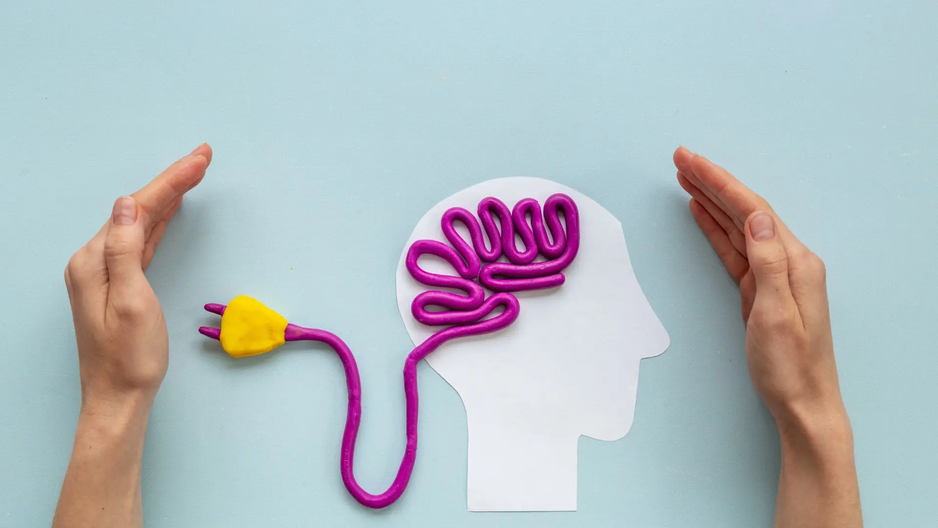 Cabeza de papel con un cerebro y un enchufe de plastilina conectados, entre dos manos, representando la traducción general y especializada