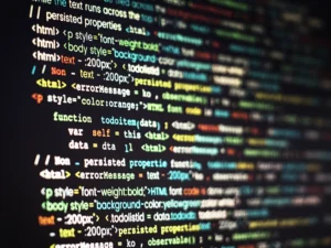 Website localization services