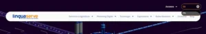 multilingual website